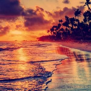 Meet your Posher, Sok